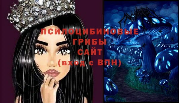 apvp Няндома