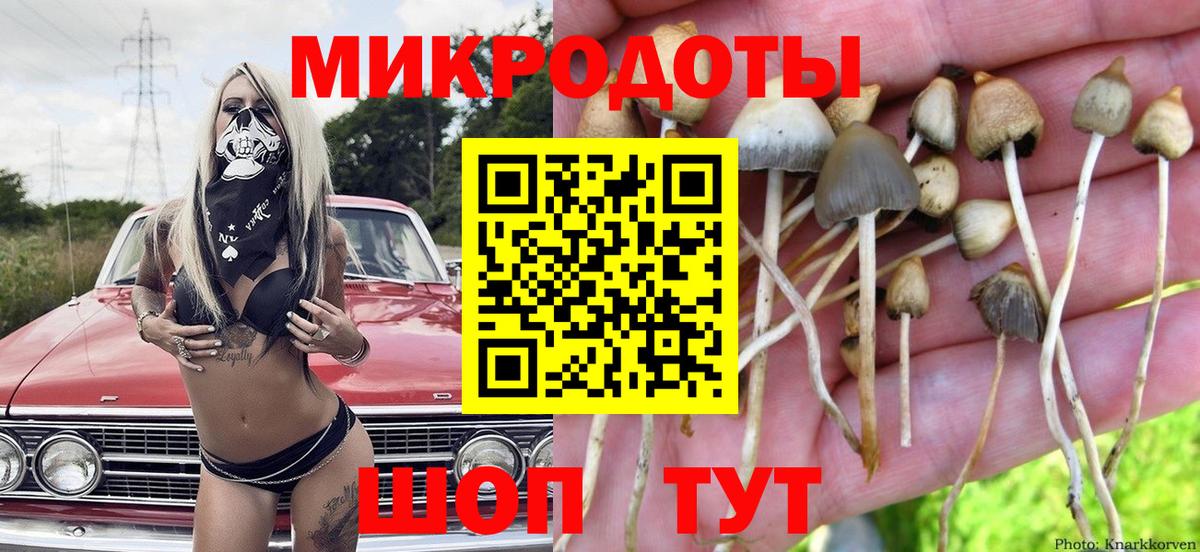 Псилоцибиновые грибы прущие грибы  Галлюциногенные грибы Psilocybe  Вход с VPN  Удомля 